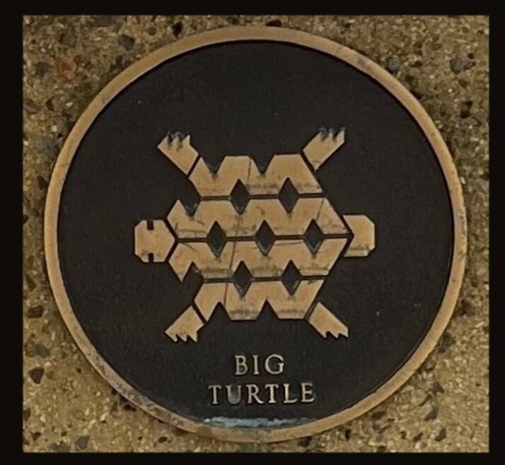 big turtle framed