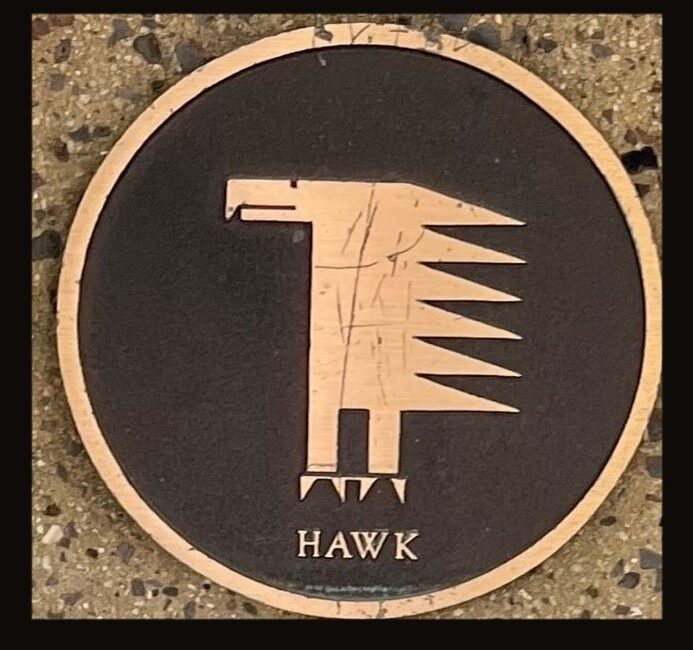 hawk framed 1